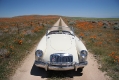 1958 MGA Roadster