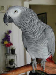 Click to enlarge Click to enlarge