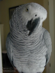 Click to enlarge Click to enlarge