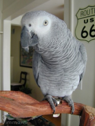 Click to enlarge Click to enlarge