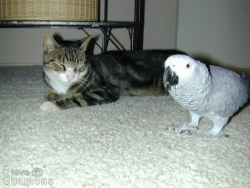 Click to enlarge Click to enlarge